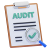 Website audit