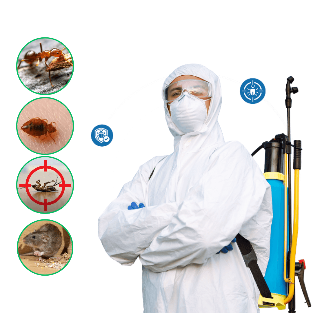 Pest Control SEO
